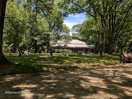 Rented by Manhattan Management LLC | media 90