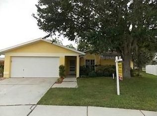 21542 Wytheville Way, Lutz, FL 33549