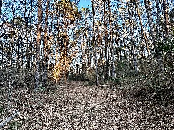 4th image of 365 Burgetown Rd