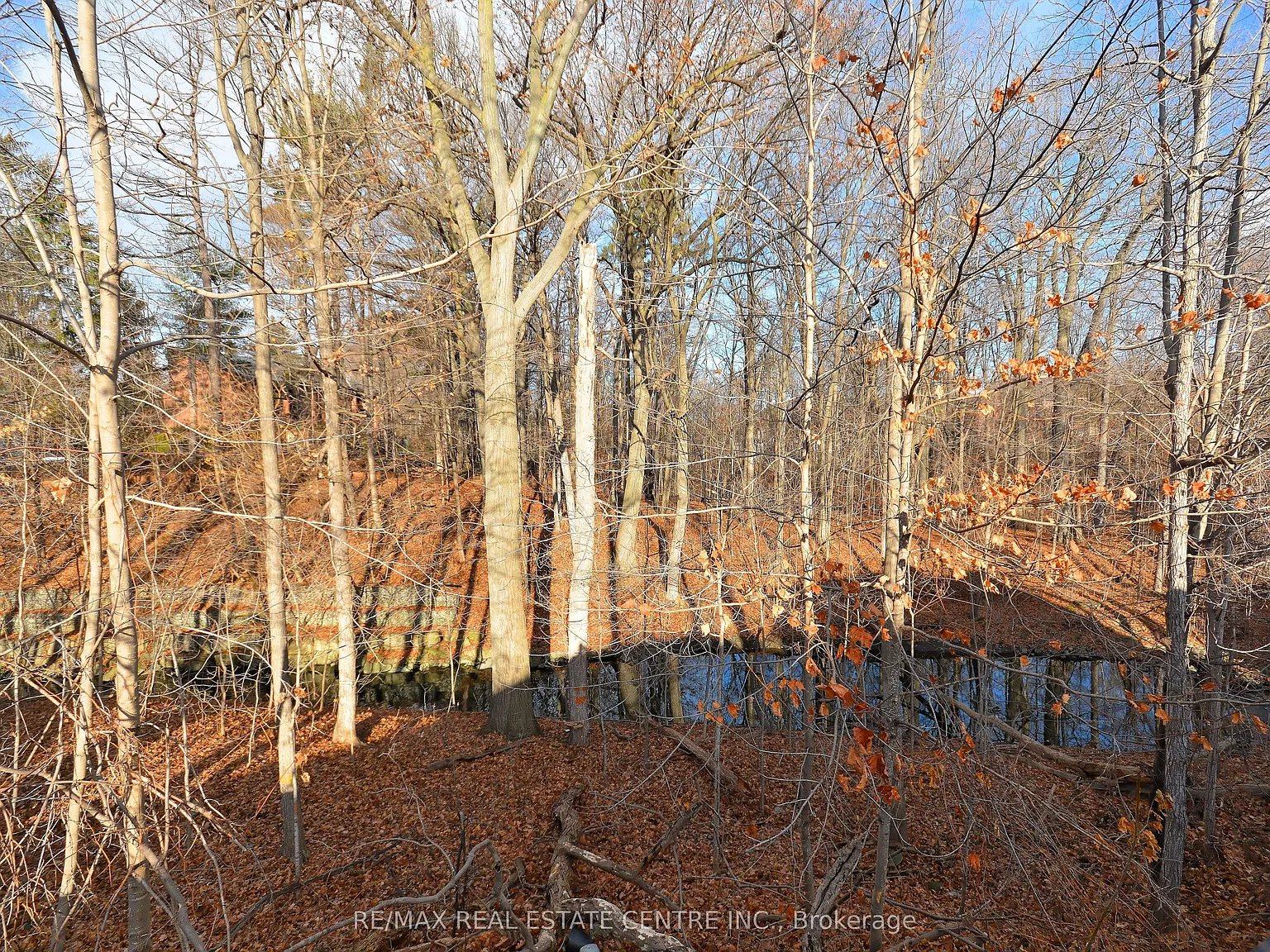 4 bed, $6,500 — Photo 4