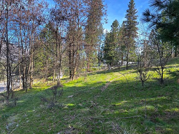 4th image of 1390 Lookout Point Way