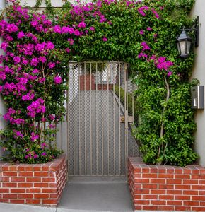 575 Lombard St - Image 3