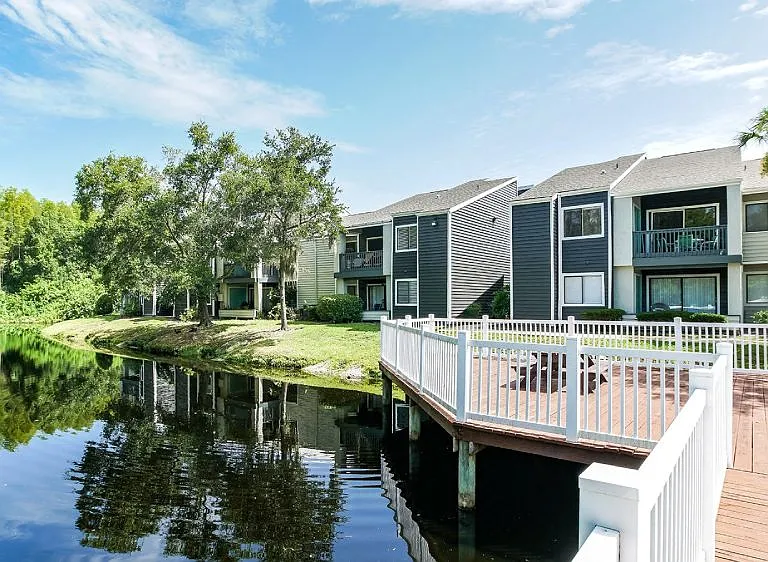 The Pointe at Carrollwood — Photo 33