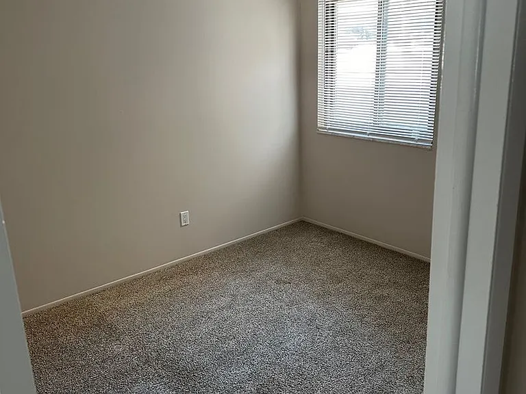 8729 Candlewood Trl — Photo 9