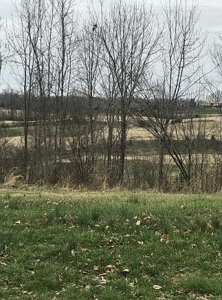 2nd image of 152 Black Thorn Drive