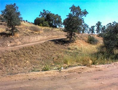 299 Cougar Ln, Squaw Valley, CA, 93675