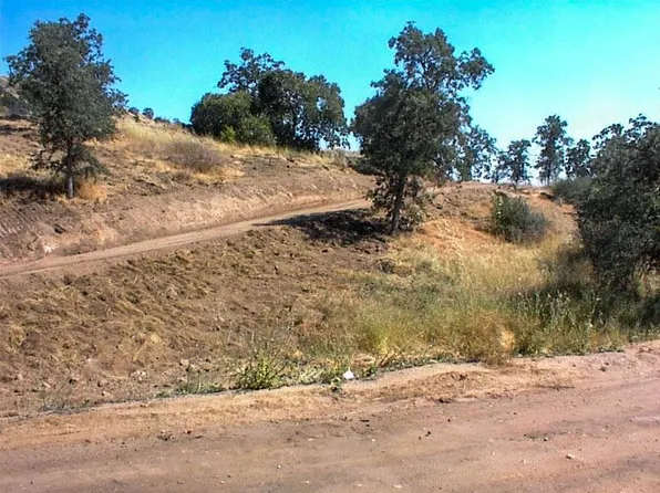 299 Cougar Ln, Squaw Valley, CA 93675