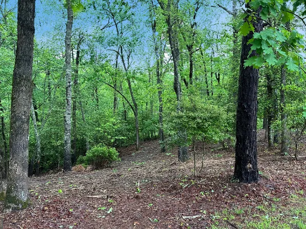 7 Brasstown, Warne, NC 28909