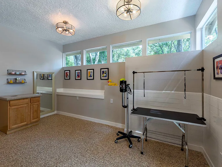 The Pampered Paw pet spa