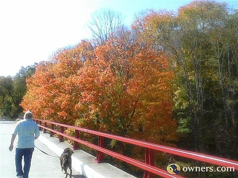 view of walking bridge on rural country road in autumn