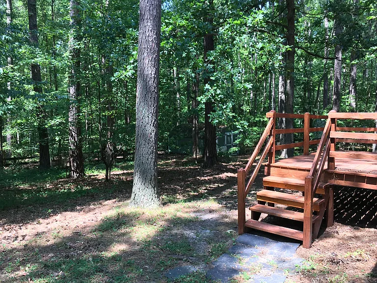 Low-maintenance back yard