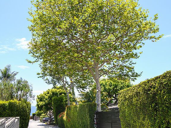 3rd image of 33020 Pacific Coast Hwy