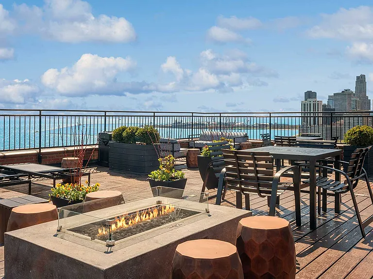 1350 North Lake Shore Drive — Photo 21