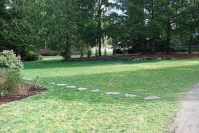 Frontyard