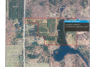 N Wyman Rd, Lake, MI 48632