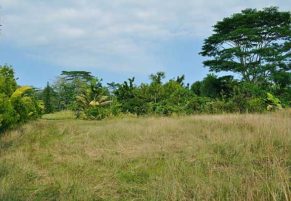 4th image of 15-2030 3rd Ave Lot 1398