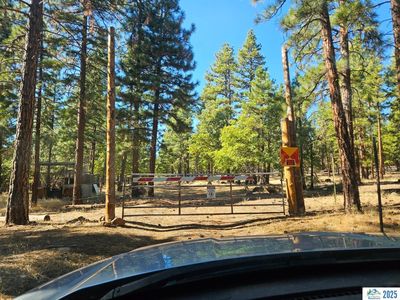 696-696 Peak Rd #225, Susanville, CA, 96130