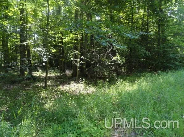 16 Lake St, Munising, MI 49862
