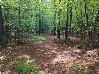 196 Carriage Ln NW, Blairsville, GA, 30512