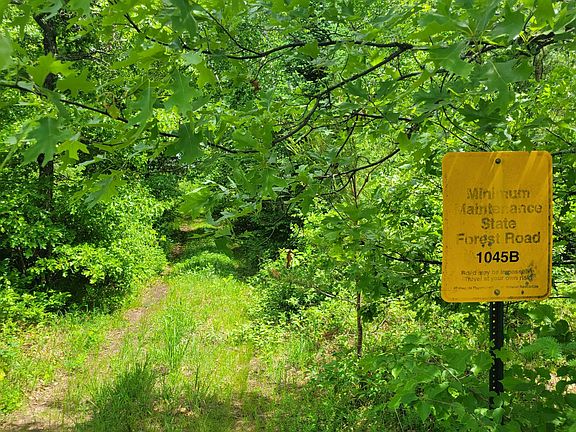 5th image of 1045B State Trl