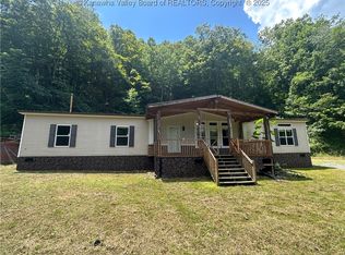 17 Ambrosia Ln, Iaeger, WV 24844