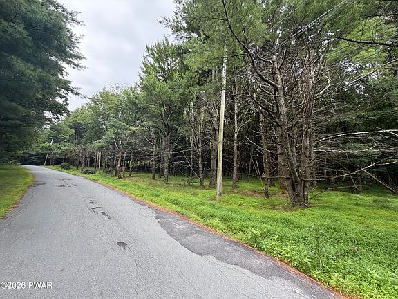 3rd image of Witch Hazel Ln