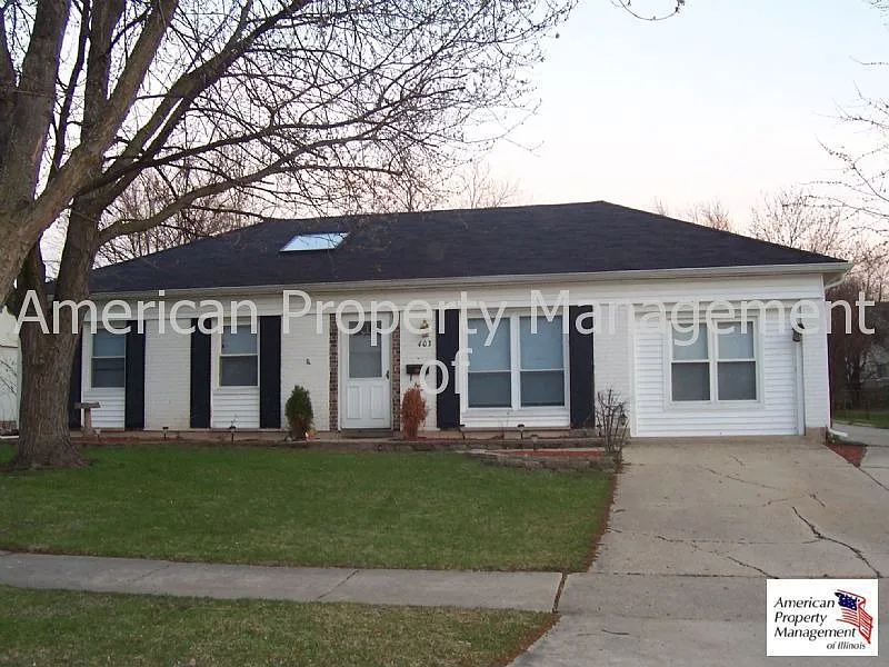 403 Library Ln photo 1