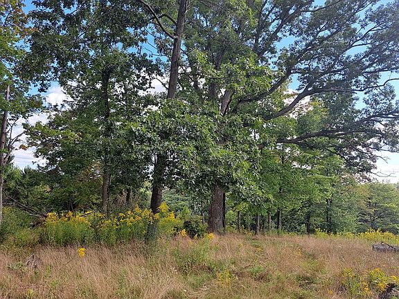 5th image of 0 Chicora Rd