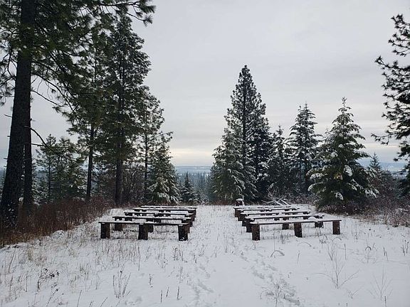 5th image of 4885 Forest Haven Way