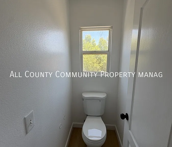 3931 Palmetto Haven Ct — Photo 39
