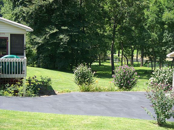 back yard