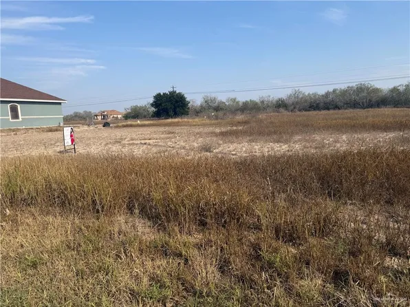 0 Los Altos St, Roma, TX 78584