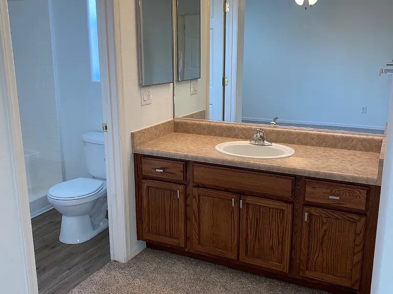 Master Vanity