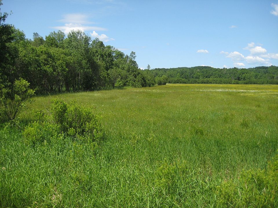 +/-25.5 Acres of Vacant Land