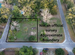 295 NW North St, Mayo, FL 32066