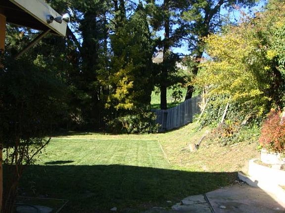 Rear Yard