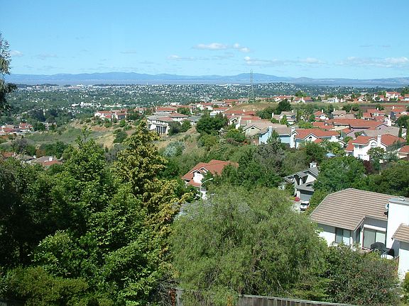 View of Mt Tamalpais