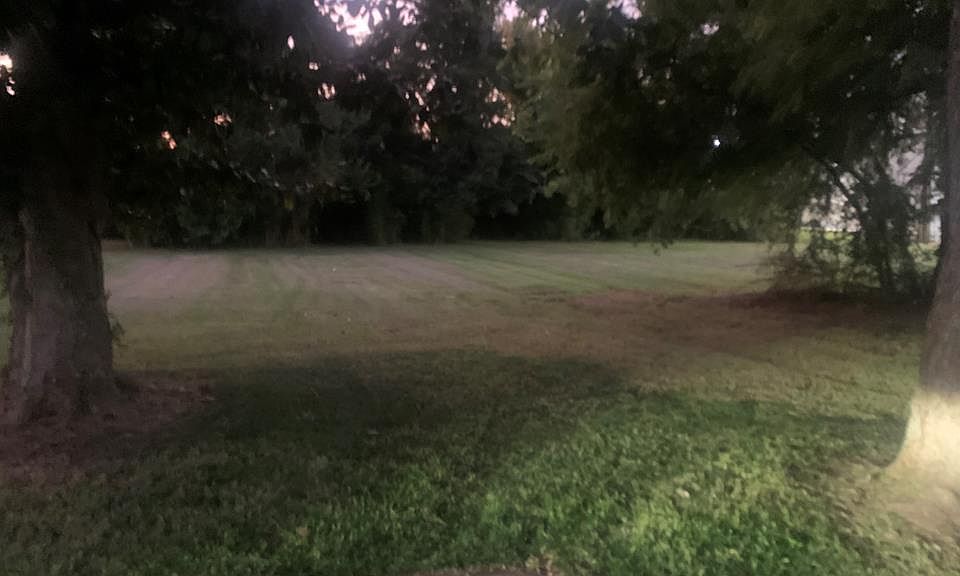 2nd image of 1120 Jackson Ave
