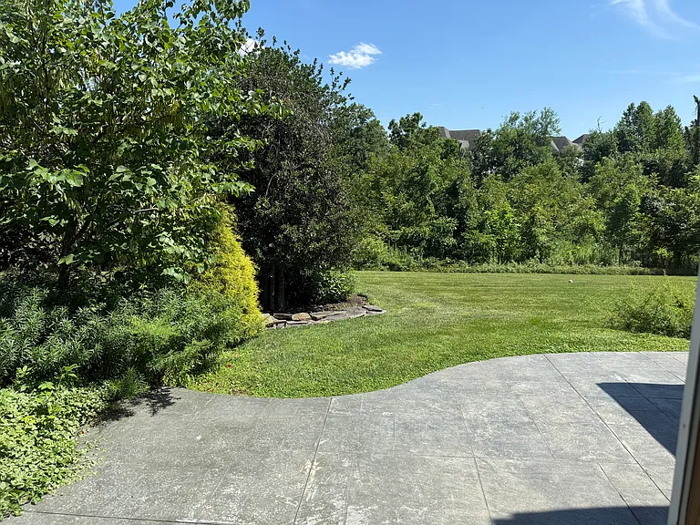 Patio view