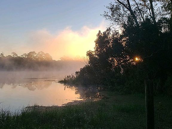 Misty Morning on Lake Macy