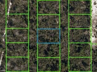 Orange Blossom, Sebring, FL 33875