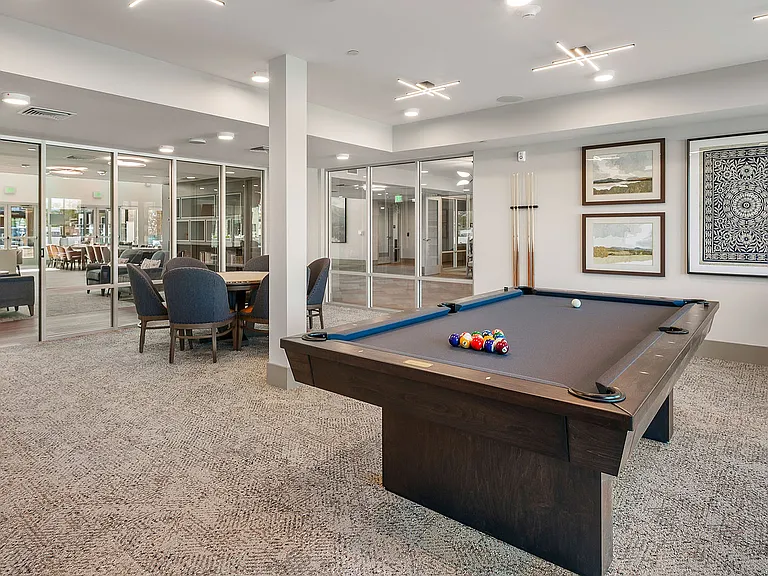 Billiards Table