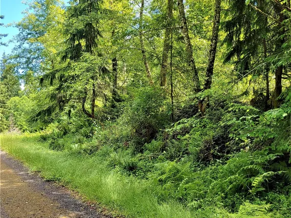 9211 Eckenstam Johnson Road, Anderson Island, WA 98303