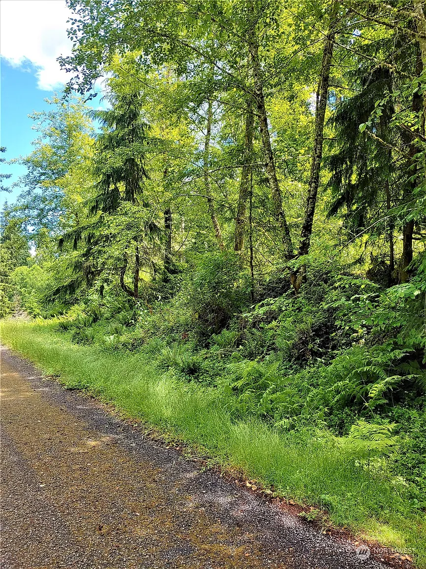 9211 Eckenstam Johnson Road photo 1