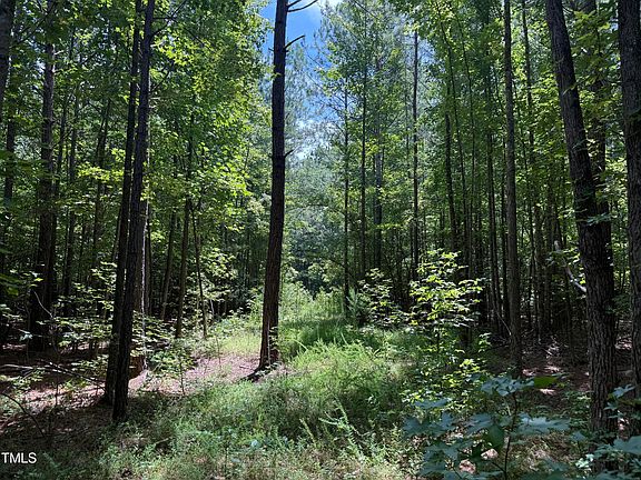 2nd image of 0 Stonehouse Ct Lot 50