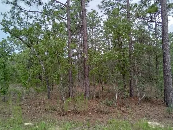 0 SW 123RD AVE ROAD LOT 11, OCALA, FL 34481