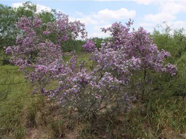 0 Medanitos Rd, Delmita, TX 78536