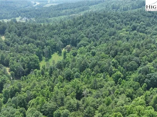 0000 Siffords Branch Road, Purlear, NC 28665