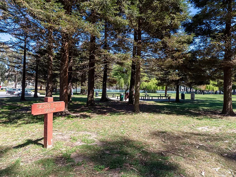 Parklane — Photo 27