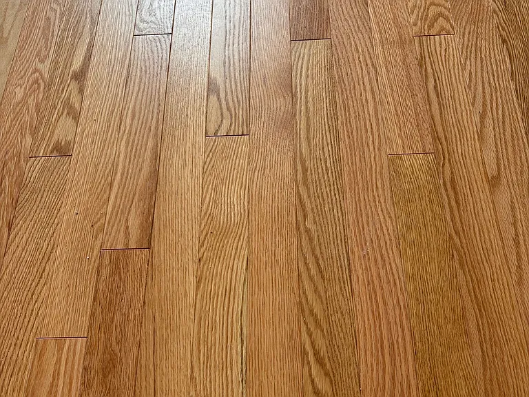 207 Pleasant St #101 — Photo 8